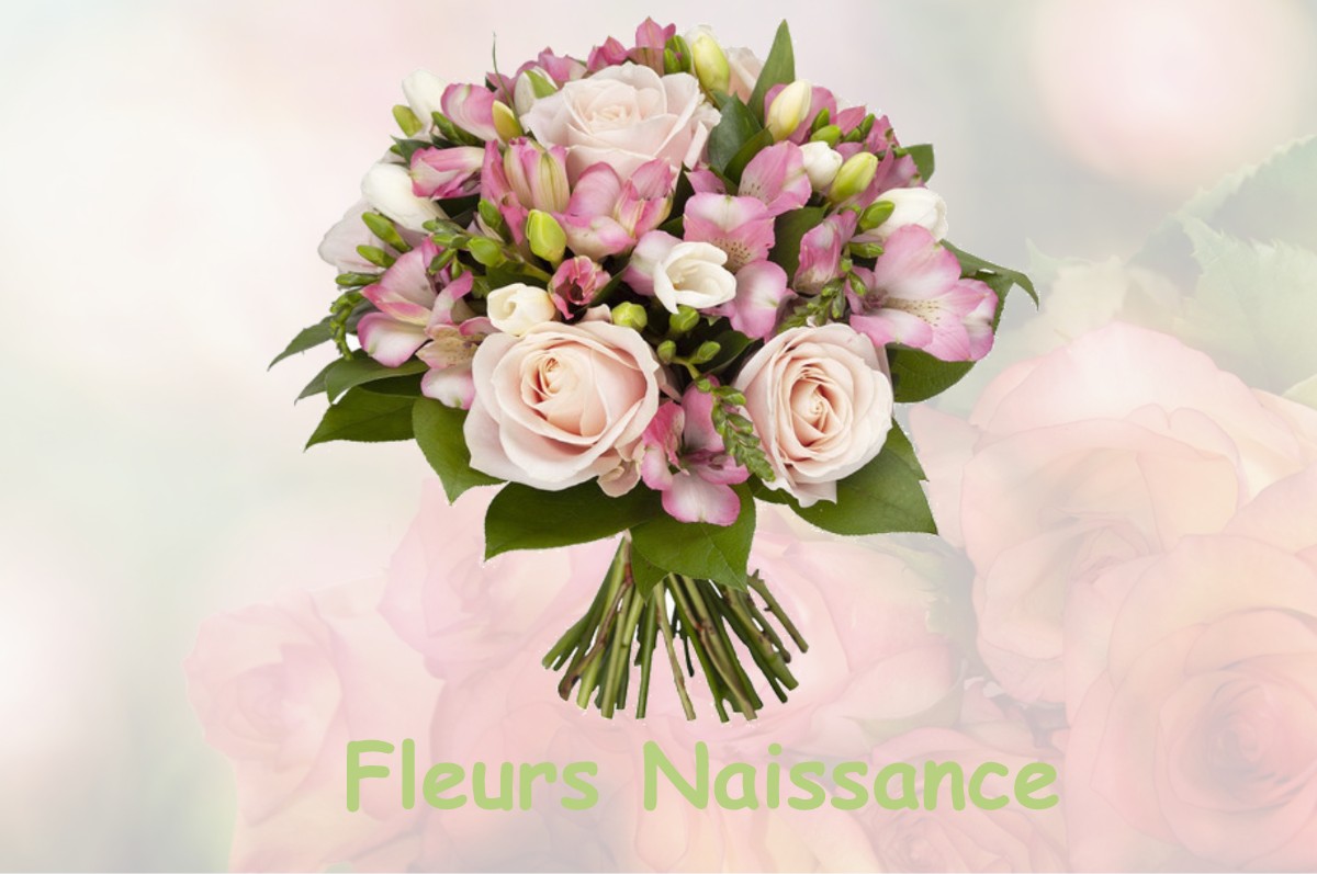 fleurs naissance MONTPLONNE