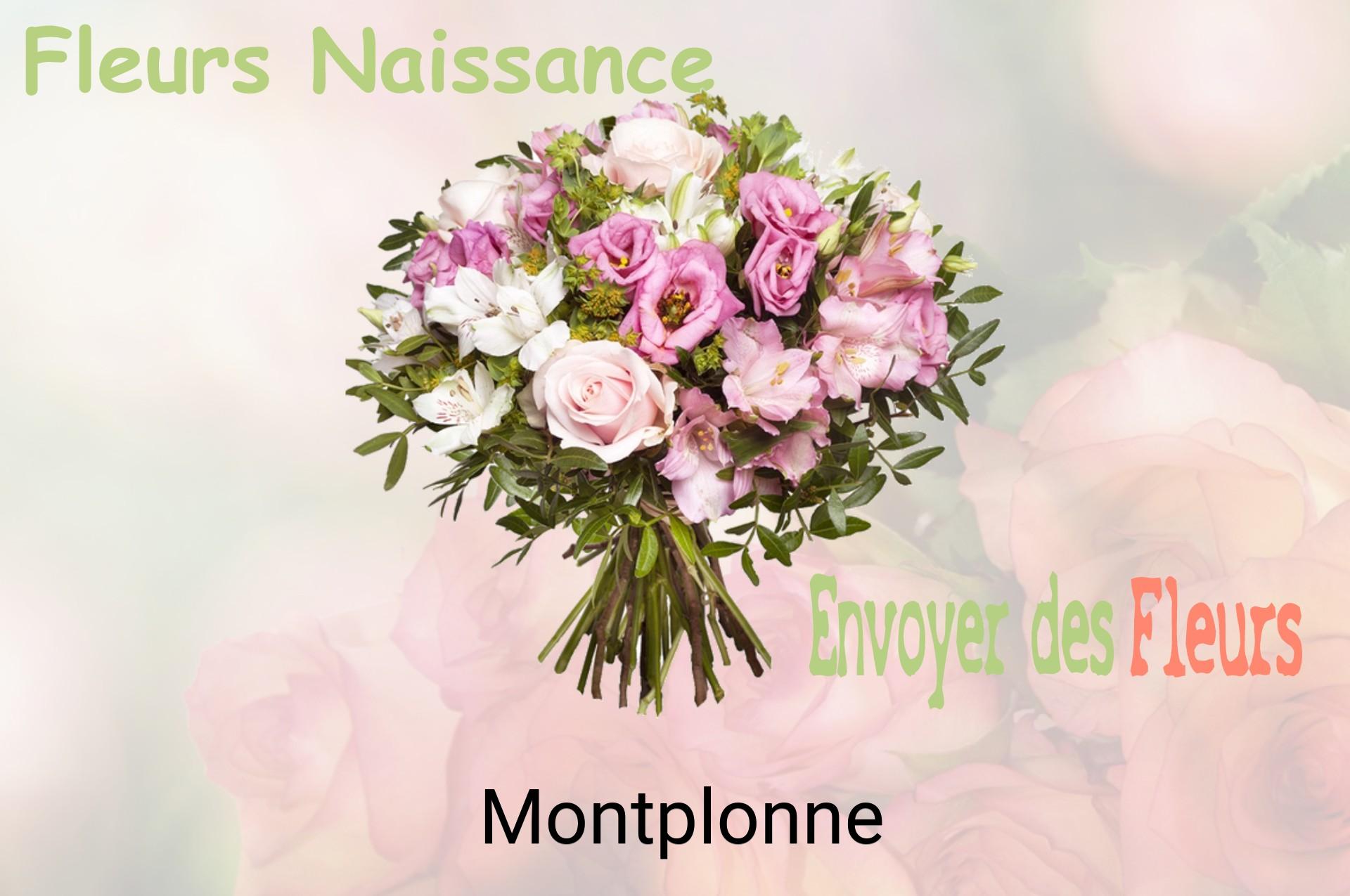 Bouquet de fleurs de naissance livré à Montplonne