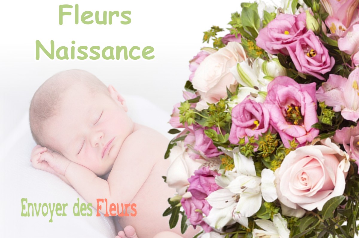 lIVRAISON FLEURS NAISSANCE à MONTPLONNE